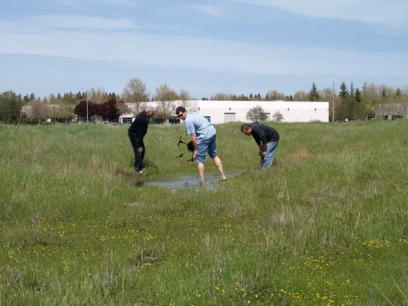 There is a higher chance of crashing into puddle if you fly FPV drone in the rain.